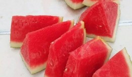 今日吃瓜网 吃瓜网每日大赛,揭秘每日大赛精彩瞬间